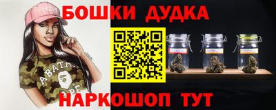 индика Краснознаменск