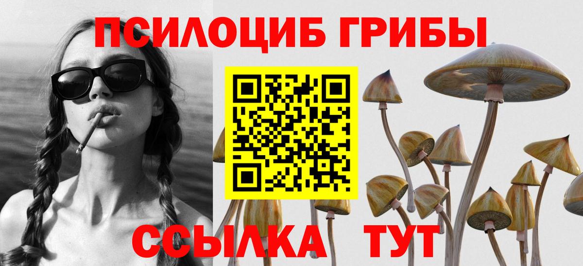 Галлюциногенные грибы MAGIC MUSHROOMS Алатырь